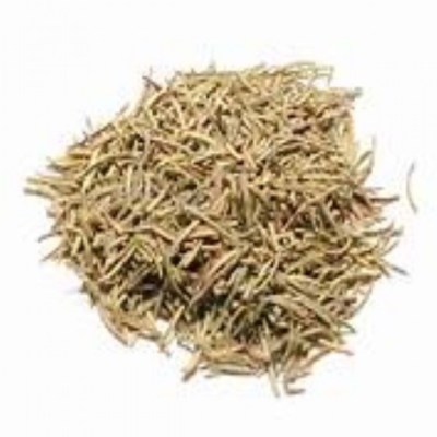 dried rosemary.jpg